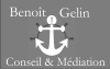 Benoit Gelin Conseil & Médiation