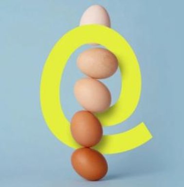 S'initier à l'IA - Accompagnement individuel