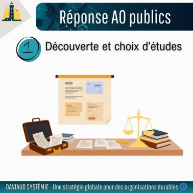 RÉUSSIR SES RÉPONSES AUX APPELS D'OFFRES PUBLICS : Découverte et stratégie de choix