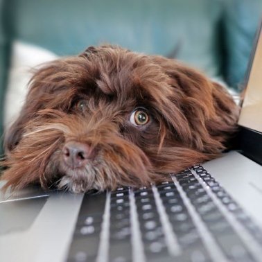 Alterner télétravail et travail sur site en conjuguant efficacité, bien-être et collaboration