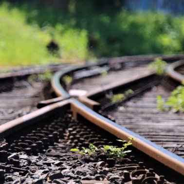 Accompagner le changement de façon proactive