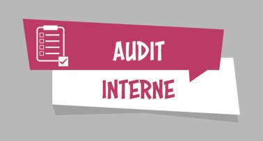 Pratiquer l'audit interne