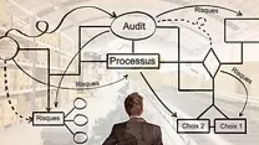 Auditer par les risques