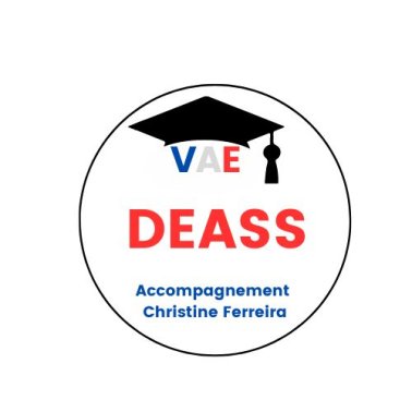 VAE Diplôme d'Etat Accompagnement Educatif Social