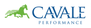 Formation Coacher avec les Cartes de Valeurs