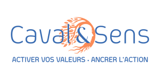 Formation Coacher avec les Cartes de Valeurs