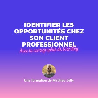 Identifier les opportunités chez son client professionnel avec la cartographie de Wardley