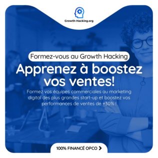Marketing Digital, Site Web, Intelligence Artificielle, Automatisation, Growth Hacking et Entrepreneuriat Numérique