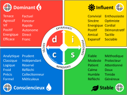 Mieux travailler ensemble avec le DISC