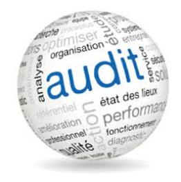 Maitriser l'audit interne qualité