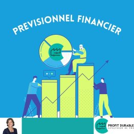 Elaborer et mettre à jour un prévisionnel financier opérationnel adapté à votre entreprise : comprendre et savoir appliquer les meilleures pratiques