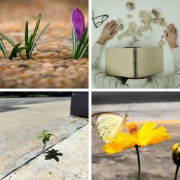 Niveau 1 : La résilience, comment faire face et gérer son stress face à des situations d'incertitudes