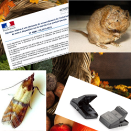 Maîtriser sa lutte contre les nuisibles en industrie agroalimentaire