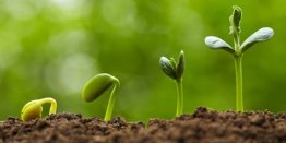 Accompagnement au changement