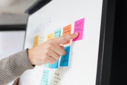 Les Basiques Métiers en Agence d'Emploi