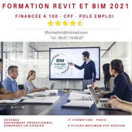 Revit Expert (Familles et collaboratif)