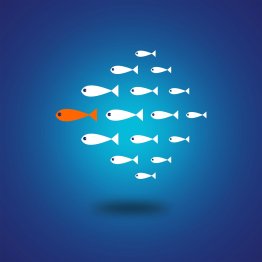 Le Manager essentiel en Production