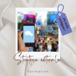 Formation stratégie éditoriale pour les réseaux sociaux