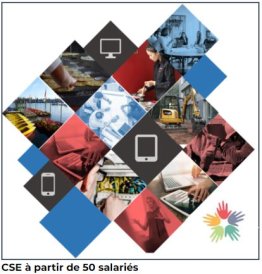Formation économique CSE 50 à 299 salariés