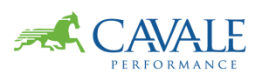 Formation Coacher avec les Cartes de Valeurs