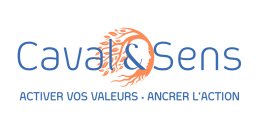 Formation Coacher avec les Cartes de Valeurs