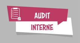 Pratiquer l'audit interne