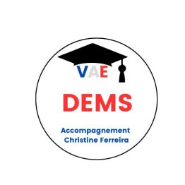 VAE Dirigeant de l'Economie Médico-Sociale