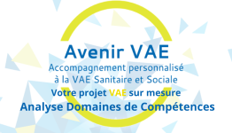 Analyse VAE par Domaine de Compétences (1 DC)