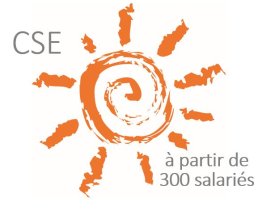 Formation économique du CSE à partir de 300 salariés