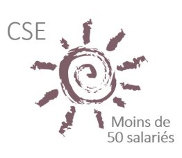 Formation CSE de 11 à 49 salariés