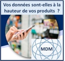 Master Data Management