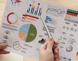 FORMATION-ACTION : FORMAT.RICES/EURS, FORMEZ A LA RSE EN APPROCHE PAR COMPETENCES