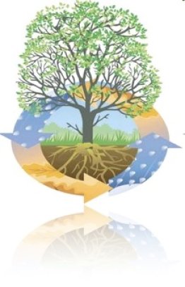 Accompagner la démarche RSE pour révéler et lever les freins