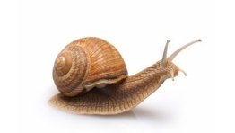 Gestion du stress: Concilier performance et Bien-être